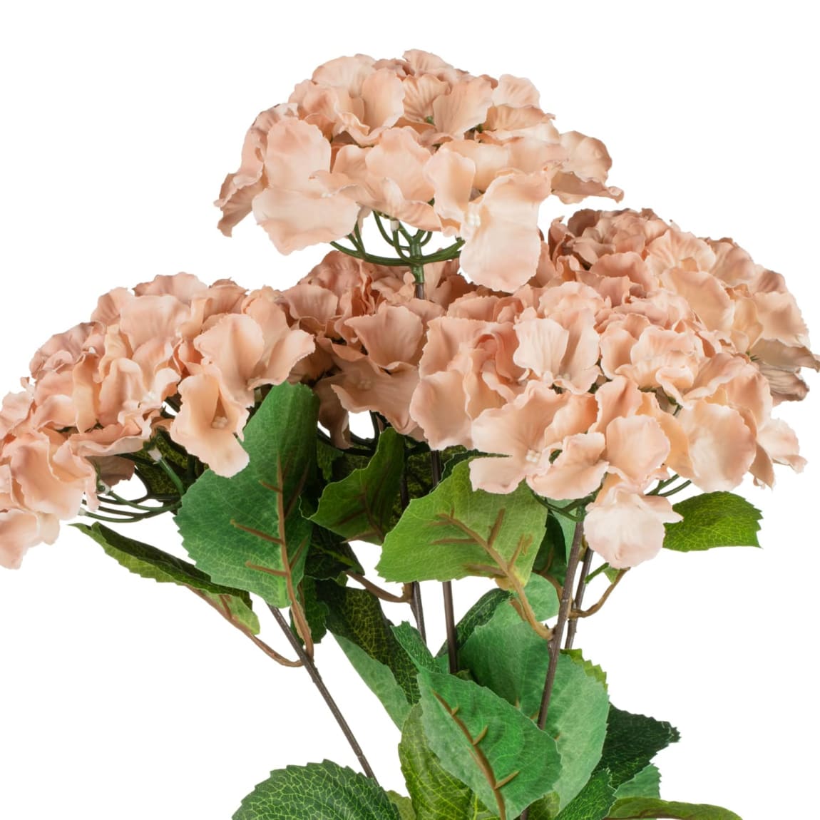 389095-hydrangea-bunche-pink-2