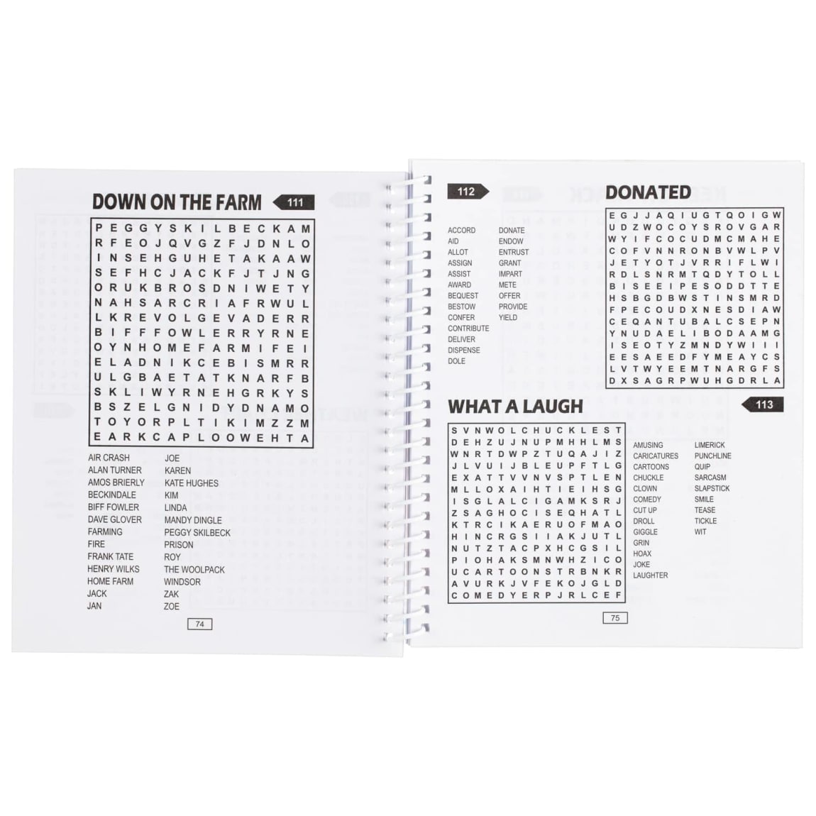 390662-puzzle-book-large-print-word-search-2