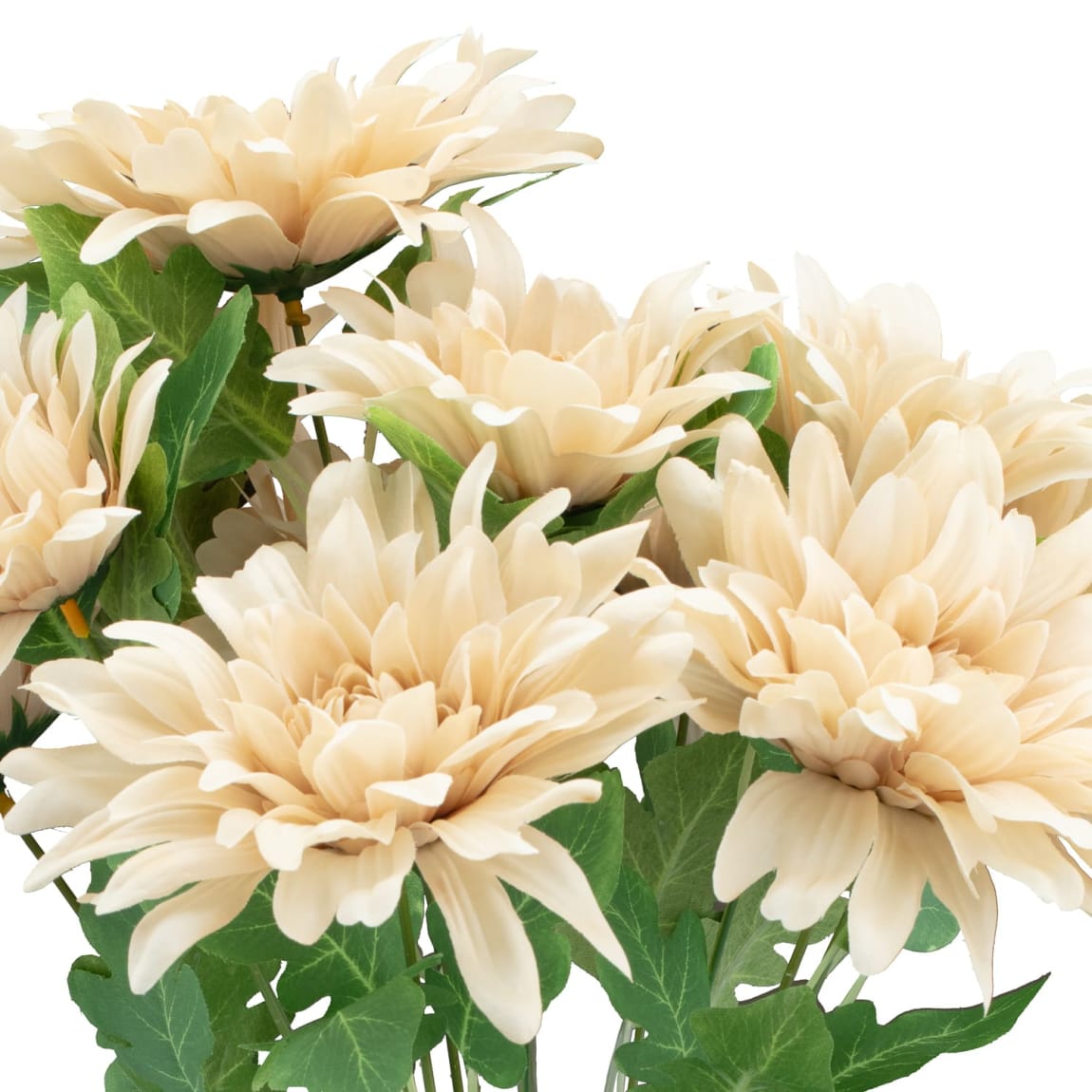 390731-large-bunch-baige-2