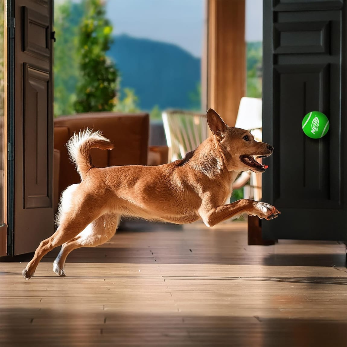 391302-super-bounce-ball-2