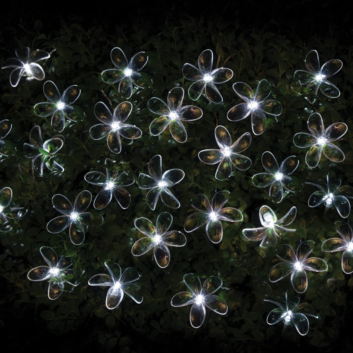 392896-24-solar-powered-string-lights-flower-cool-white