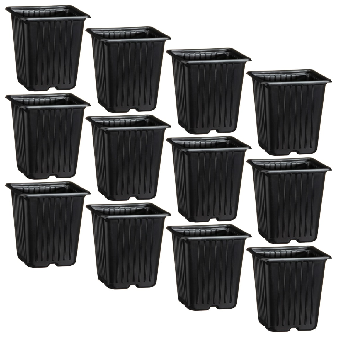 393167-plant-potes-9cm-12pk-group