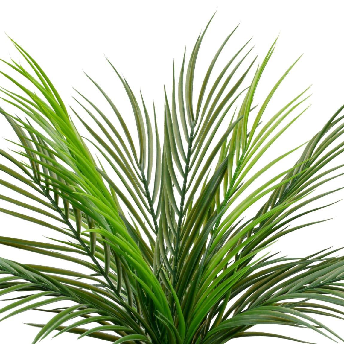 394340-fern-in-double-handle-pot-2