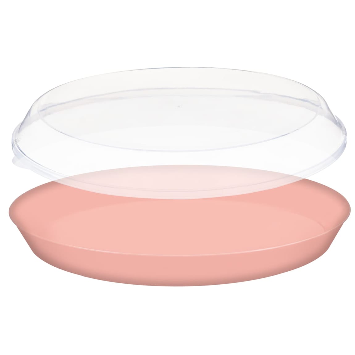 394984-food-tray-with-lid