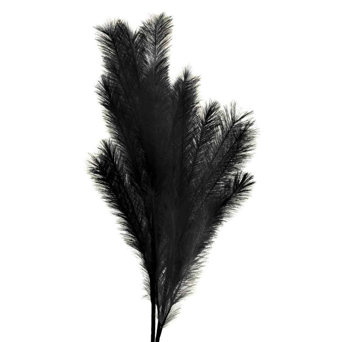 395541-pamas-stem-black-2