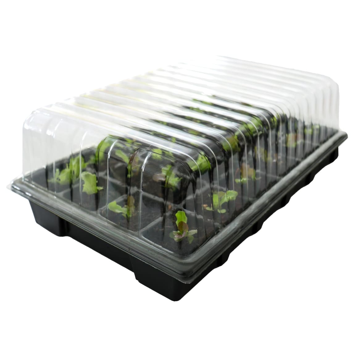 395814-24-cell-propagator-set