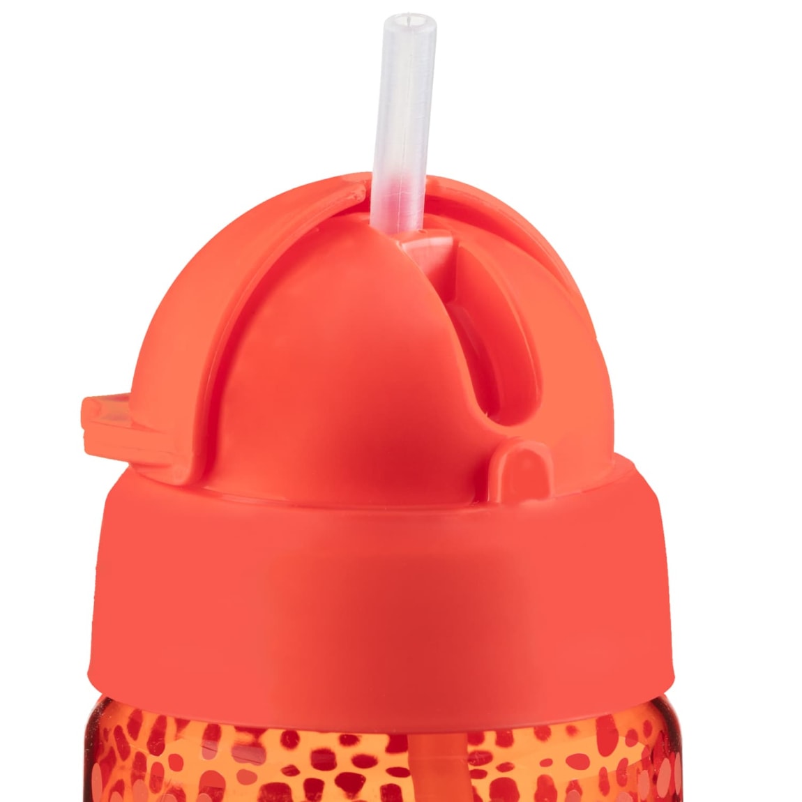 398584-kids-animal-bottle-dinosaur-3