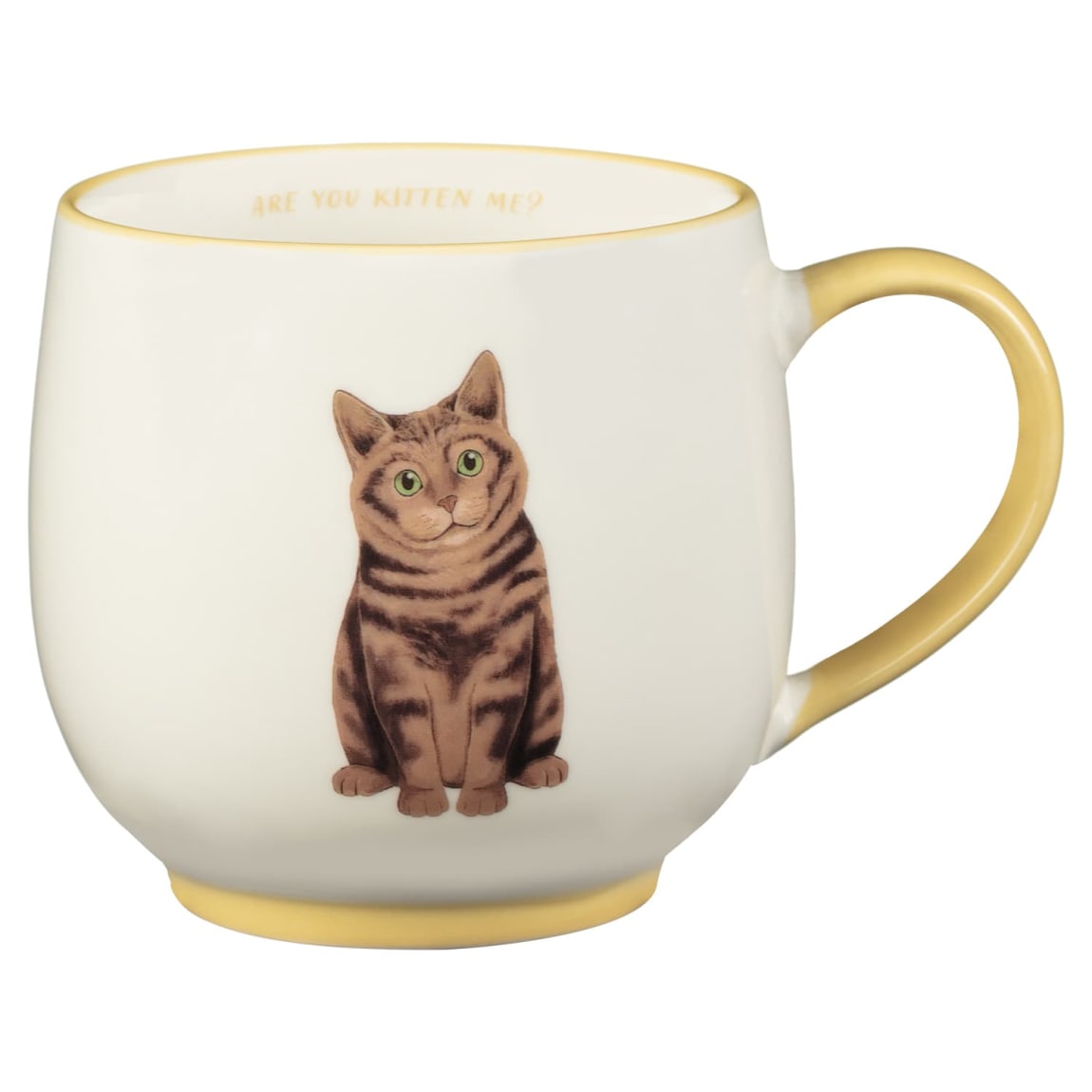 400314-cat-breeds-mug-are-you-kitten-me1