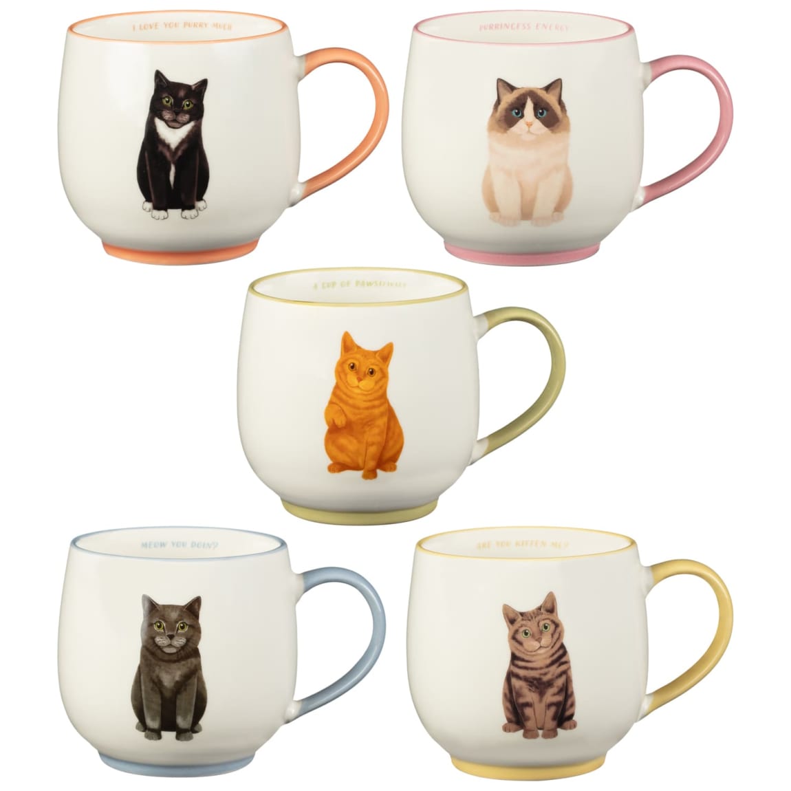 400314-cat-breeds-mug-group2