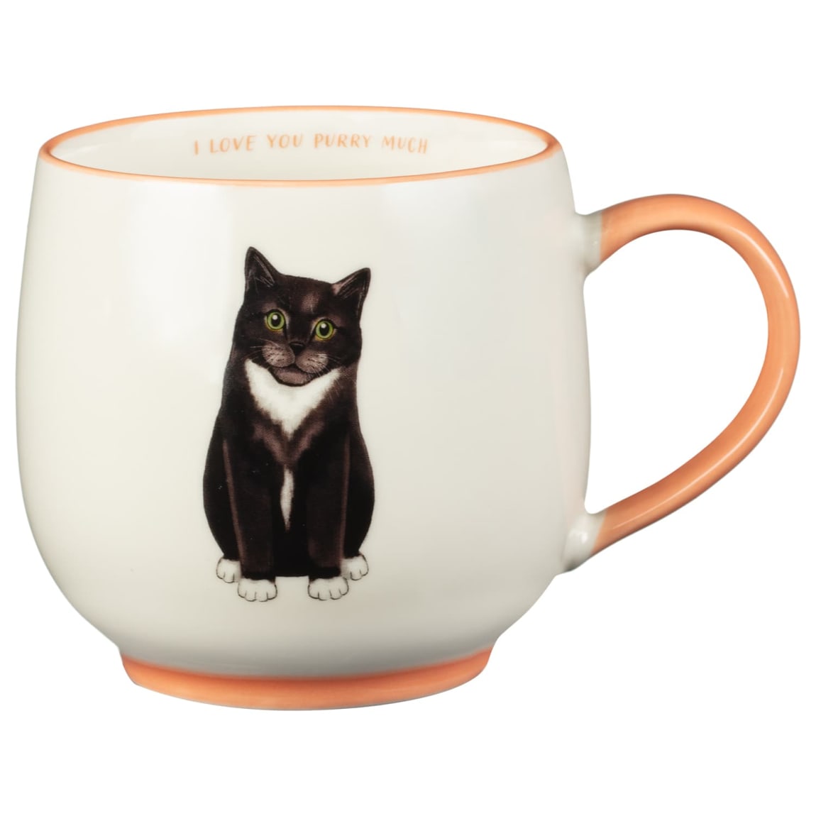 400314-cat-breeds-mug-i-love-you-purry-much