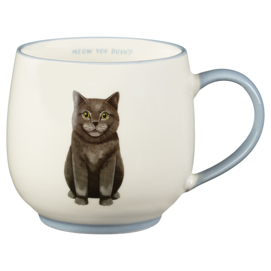400314-cat-breeds-mug-meow-you-doin