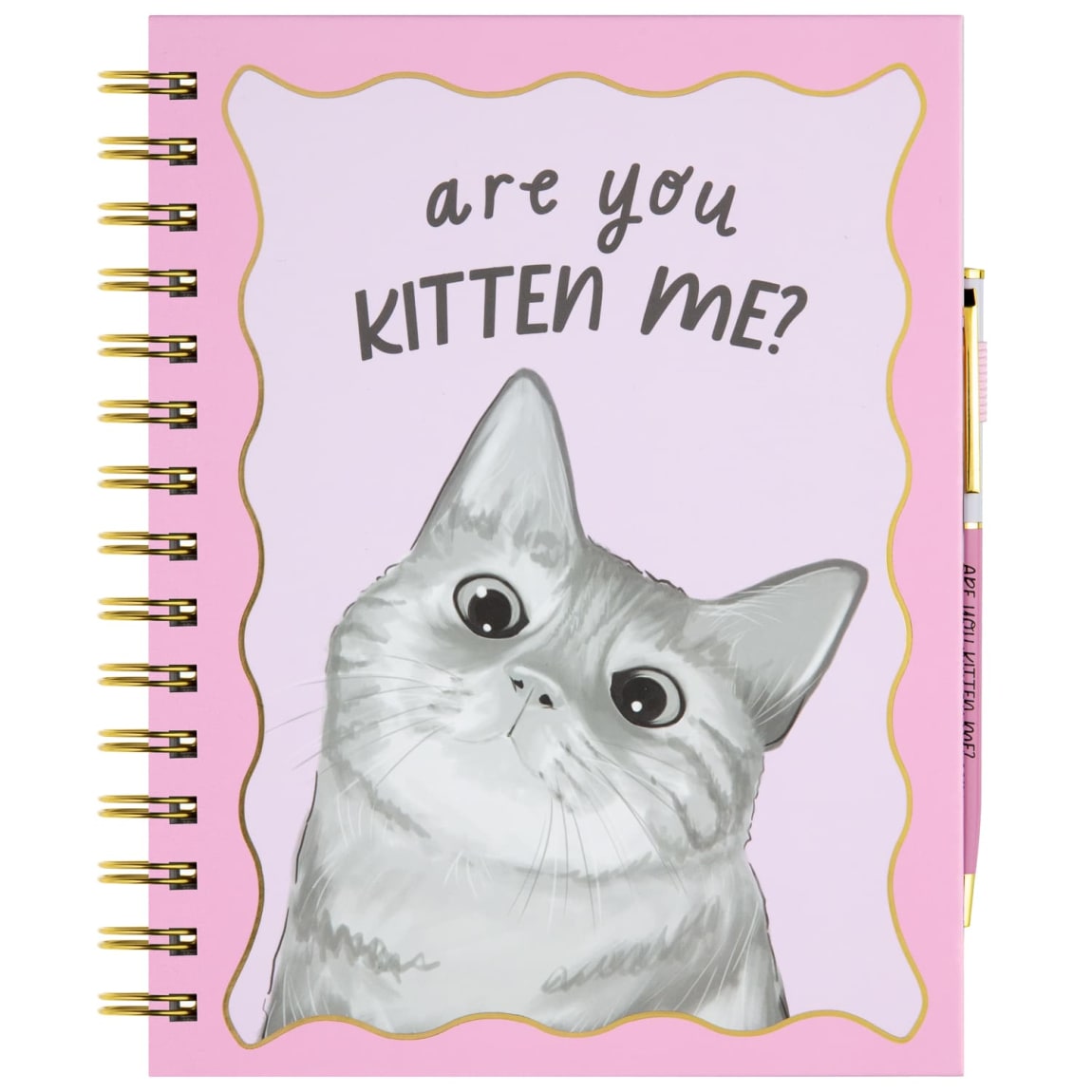 400315-cat-notebook-are-you-kitten-me1
