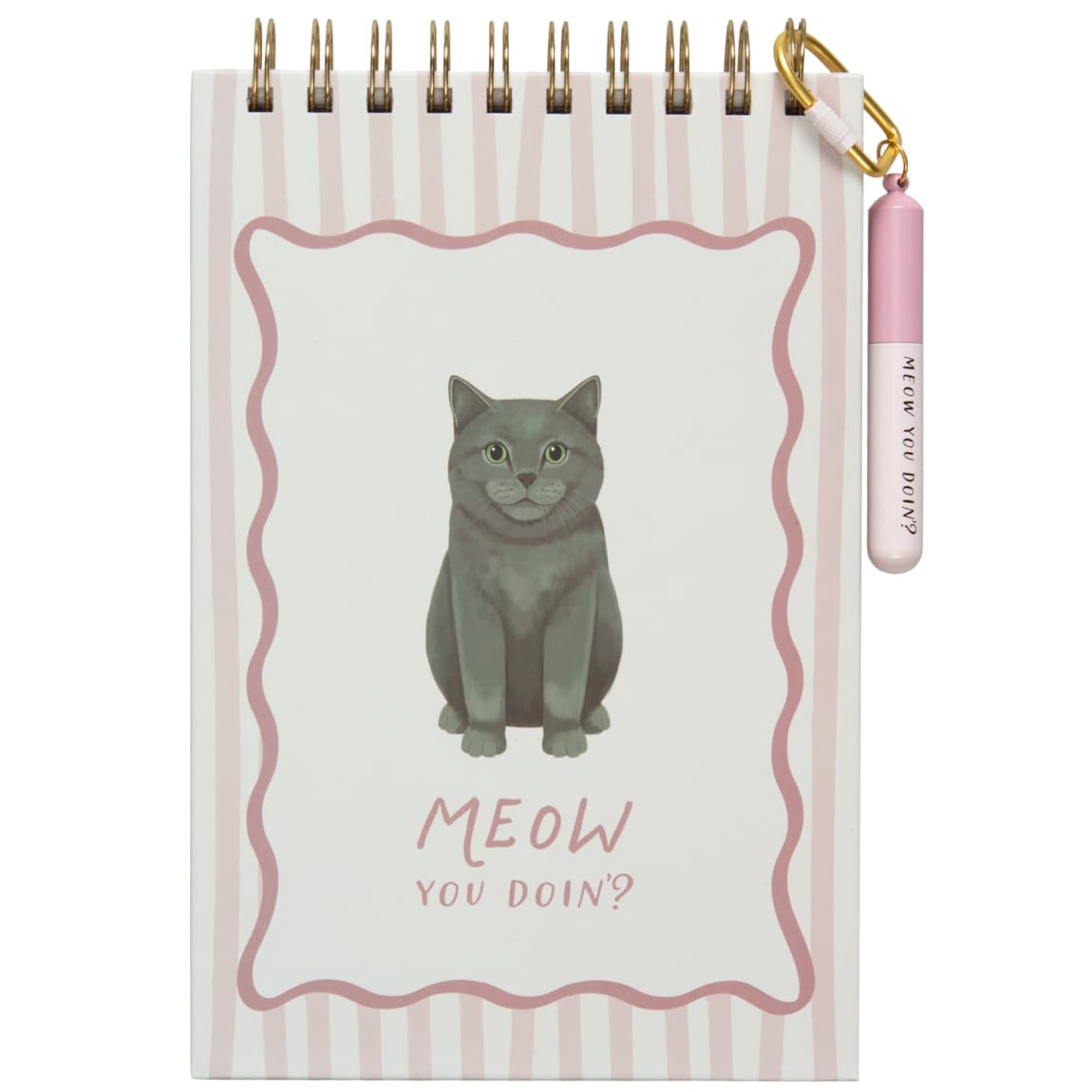 400315-cat-notebook