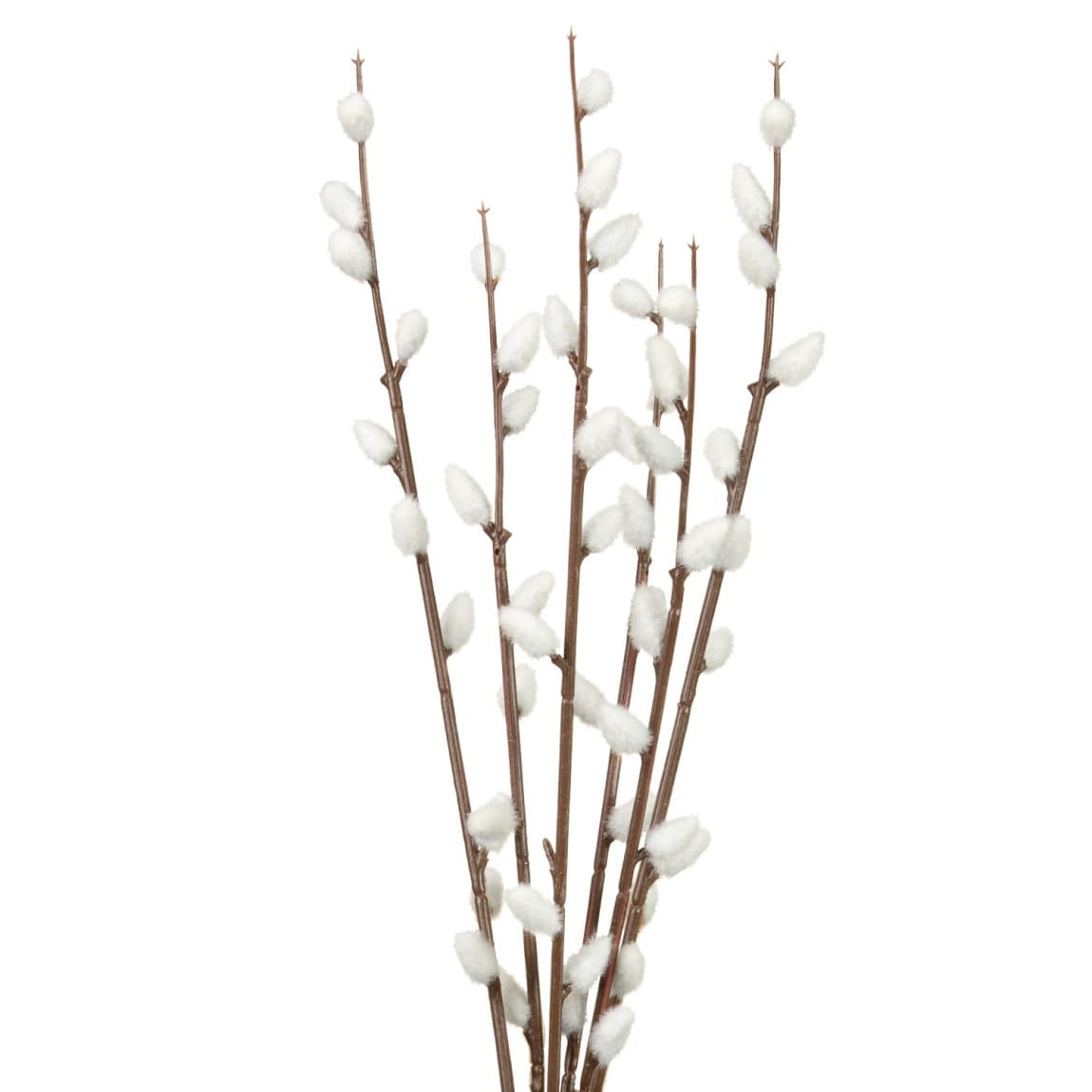 400849-pussy-willow-in-black-vase-2