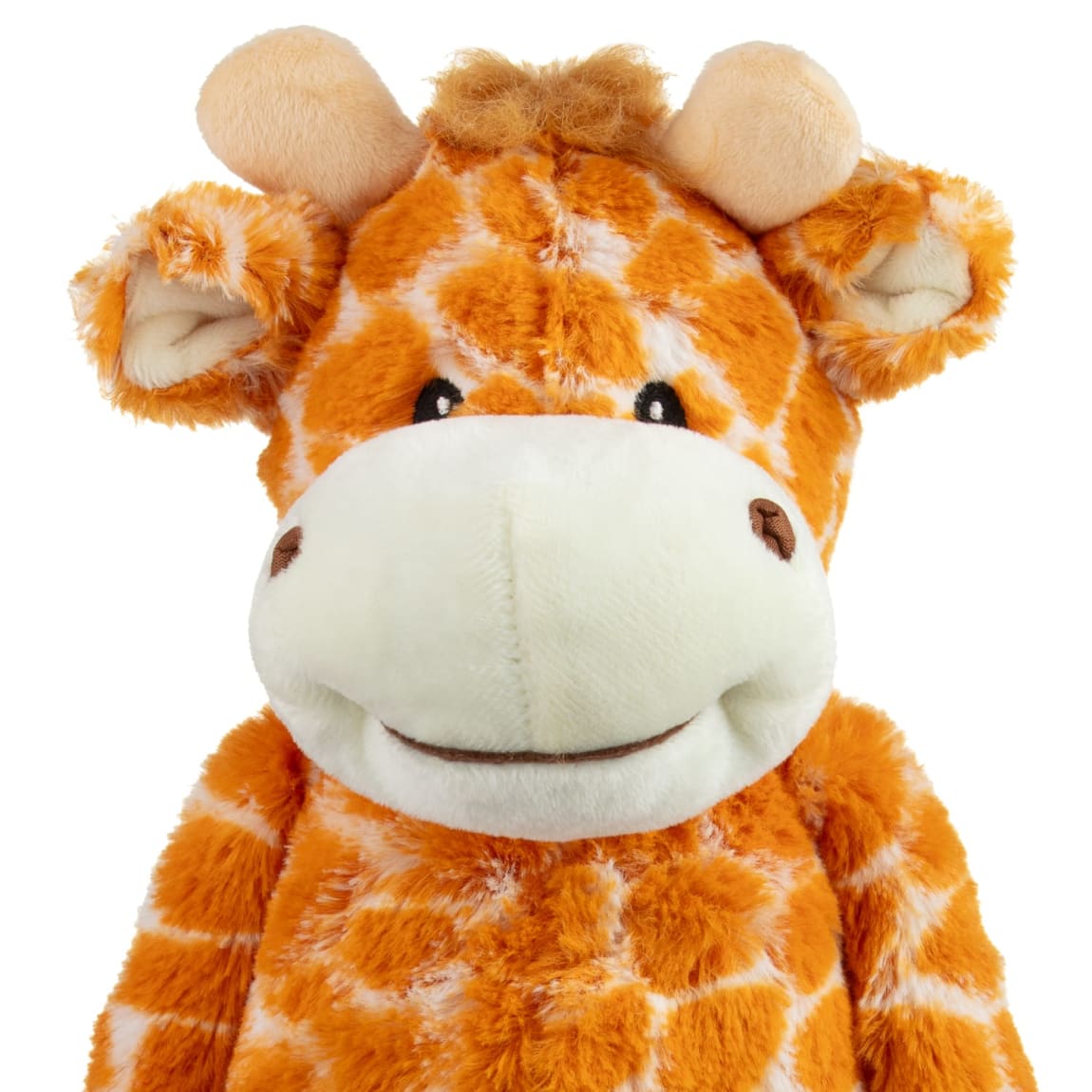 402924-long-legs-safari-animals-giraffe-3