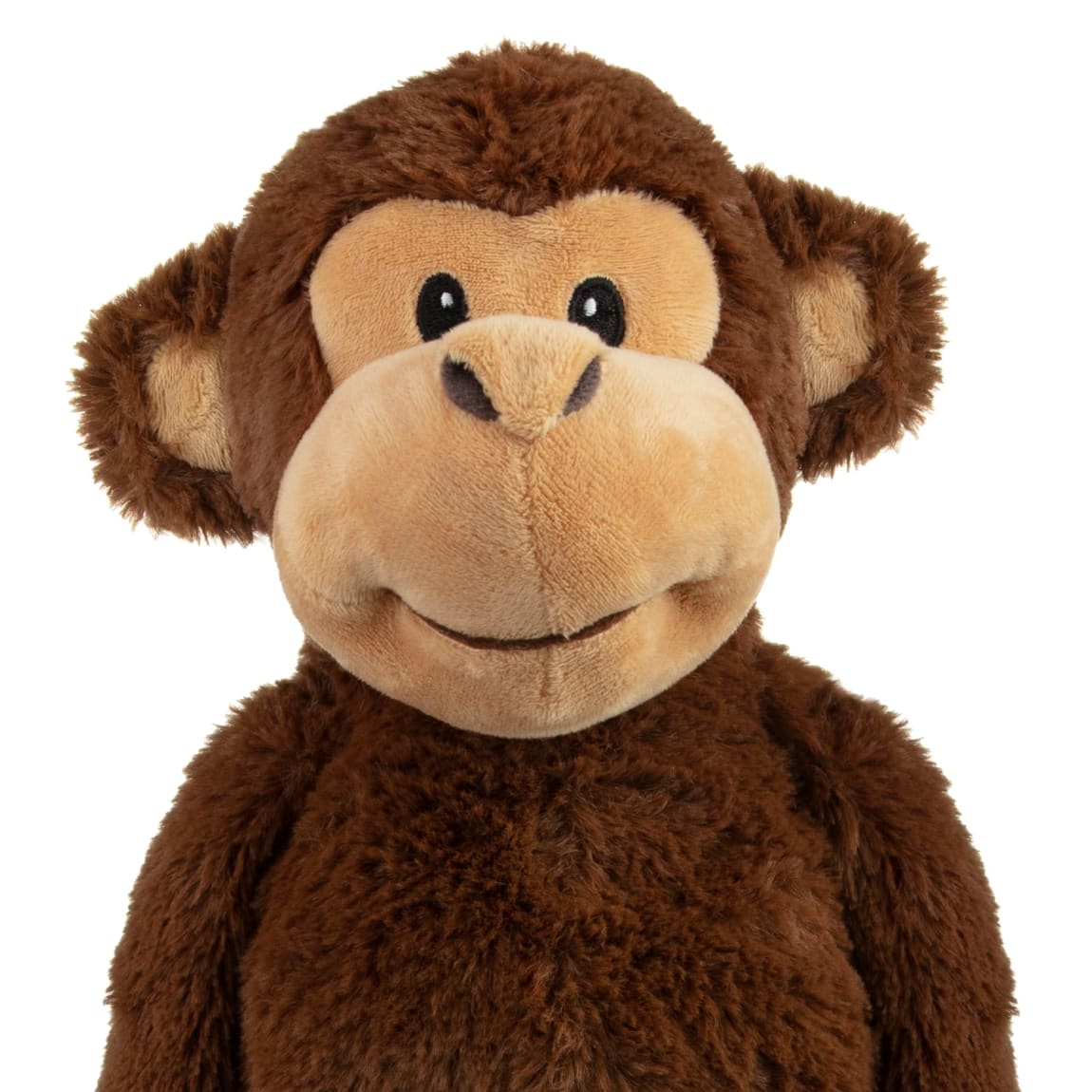 402924-long-legs-safari-animals-monkey-2