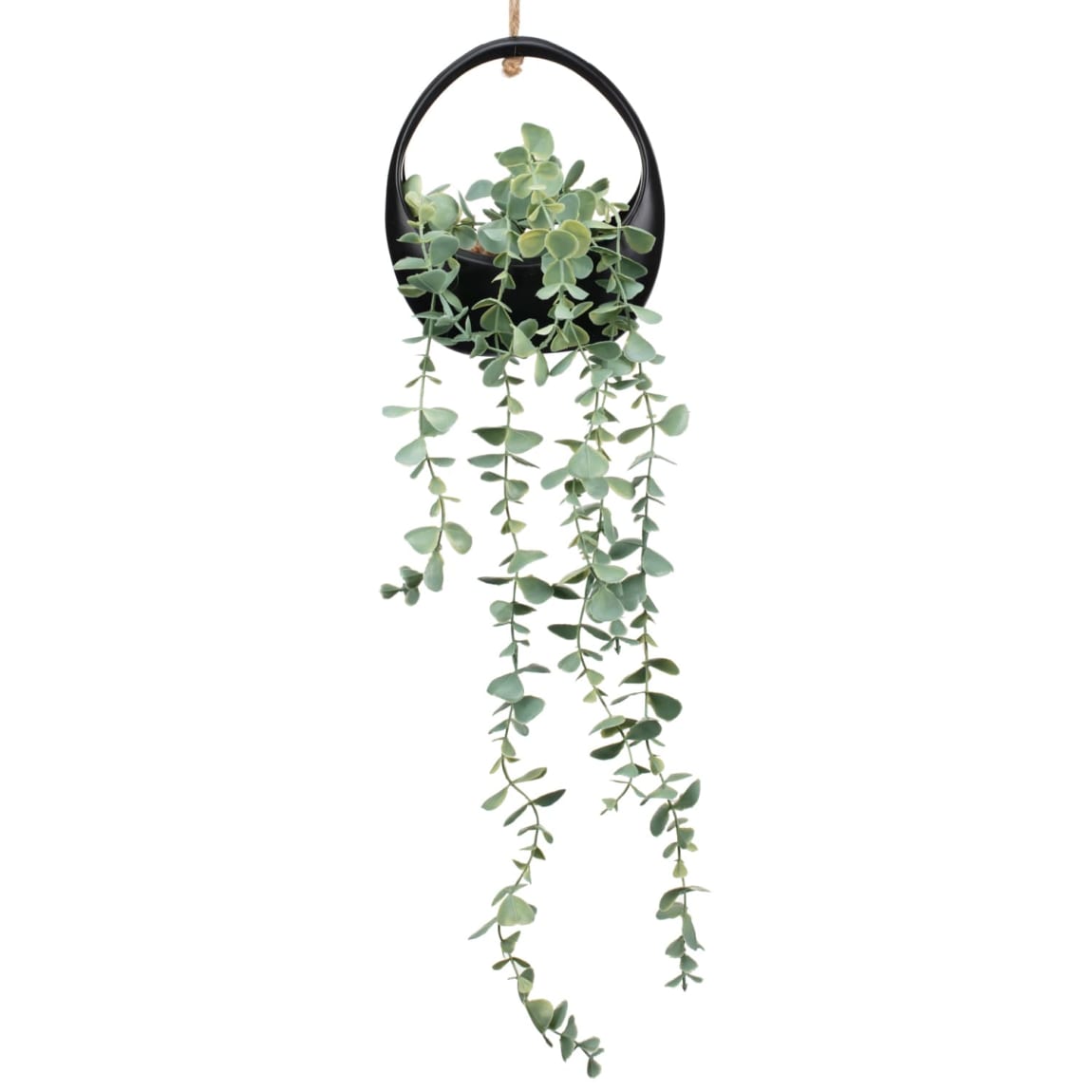 404026-hanging-plant-60cm-2