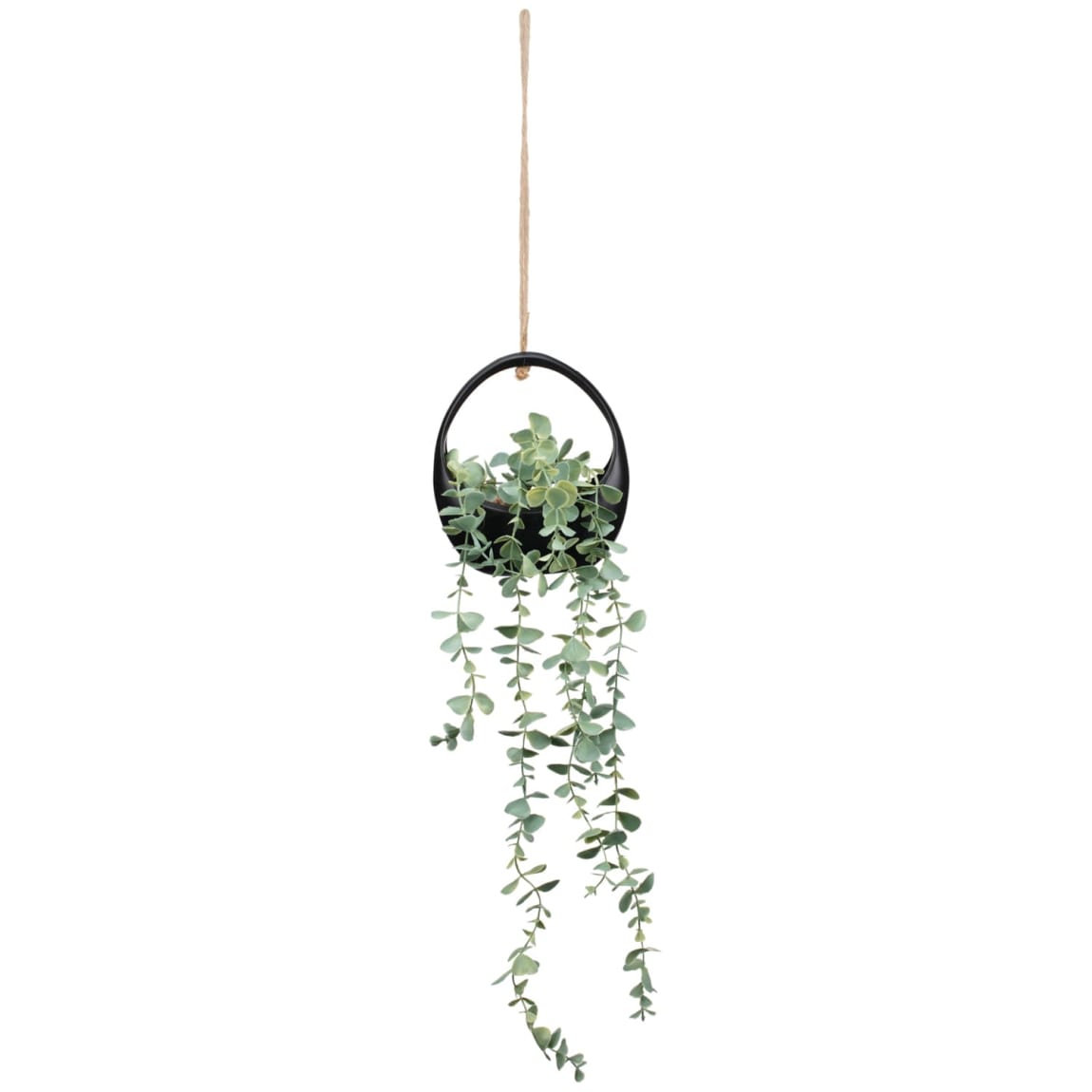 404026-hanging-plant-60cm