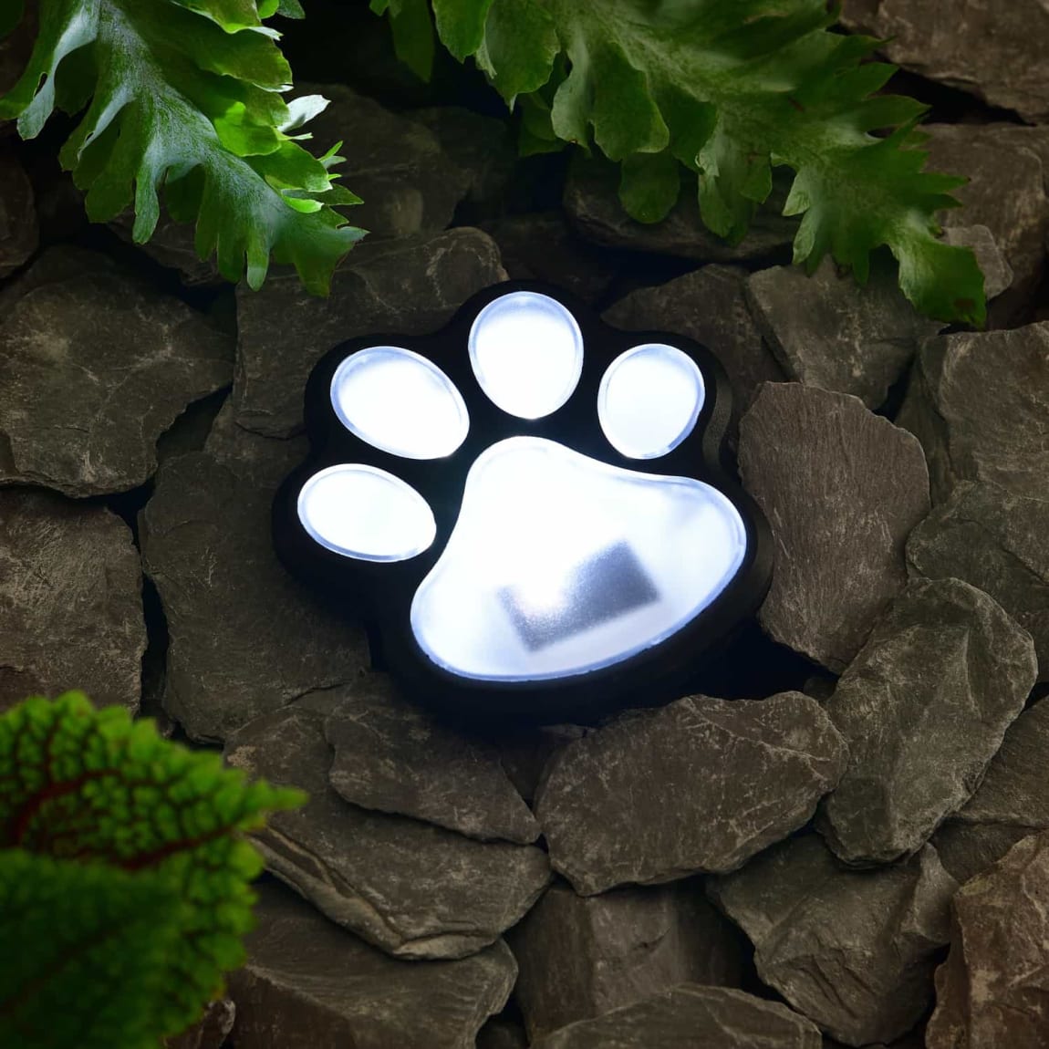 404811-solar-paw-print-ground-light-cool-white-led-2