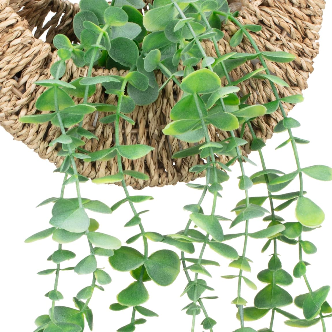 405613-hanging-euc-in-woven-basket-2