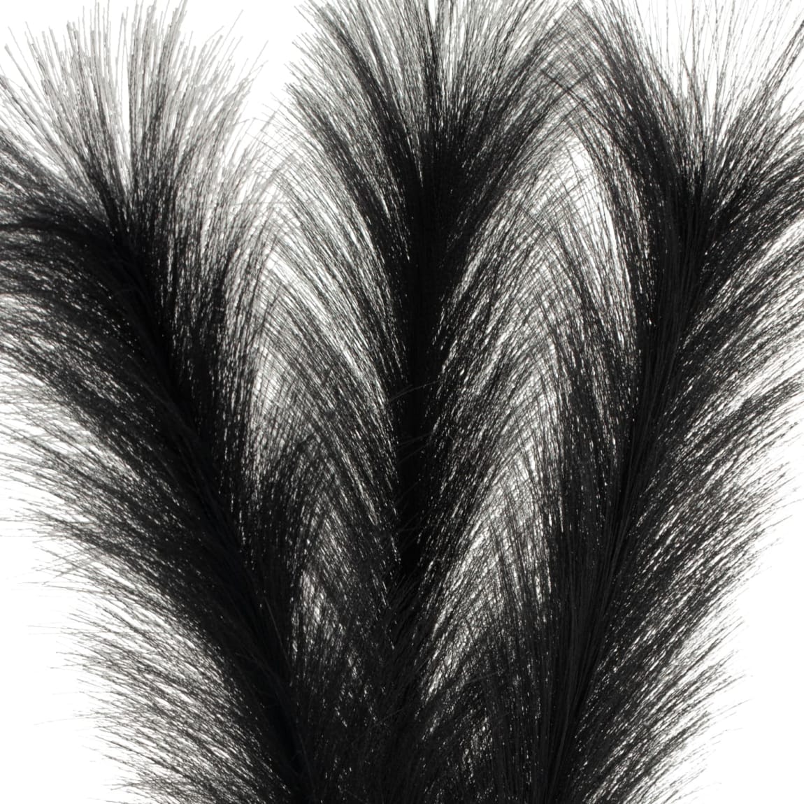 405751-ribbed-vase-with-black-pampas-2