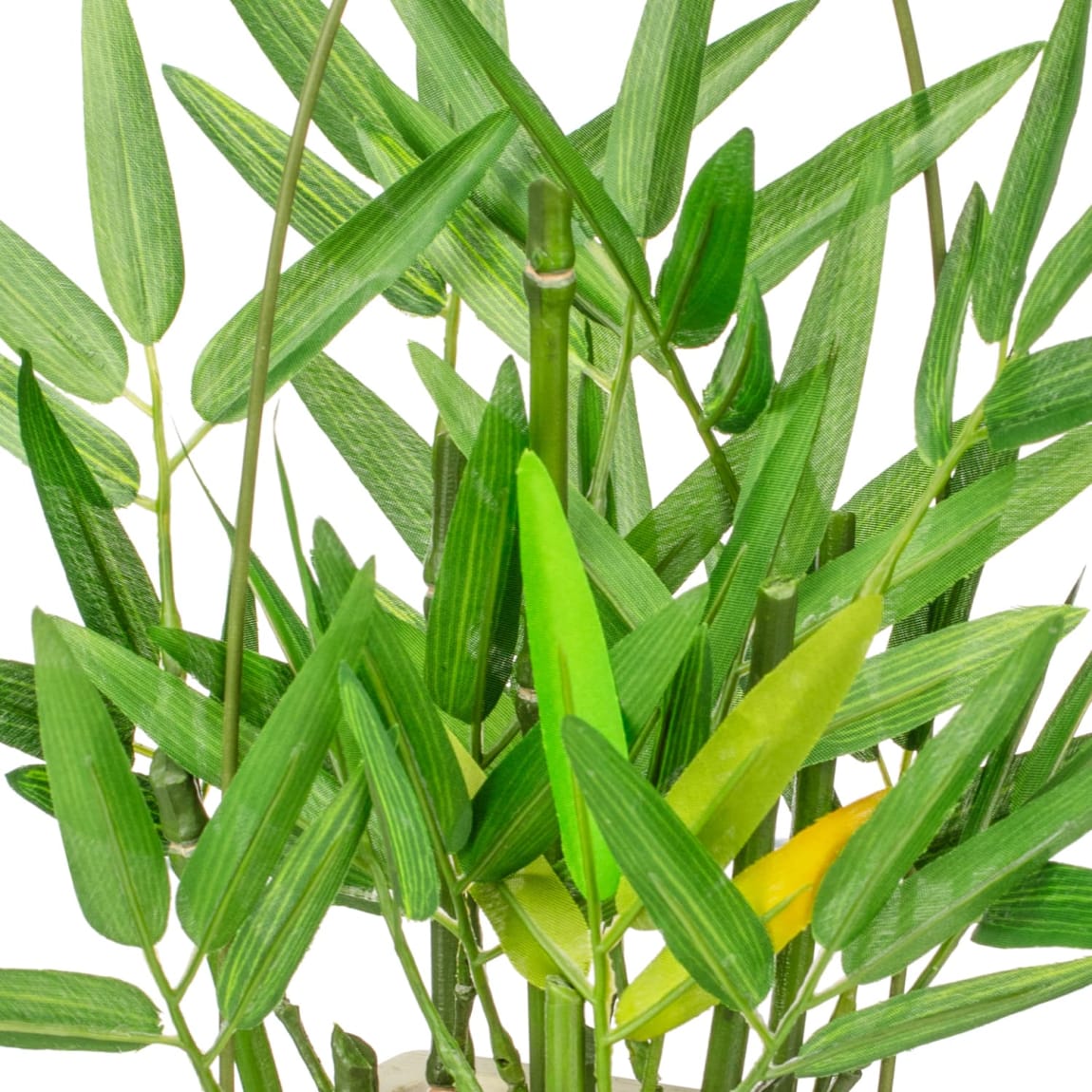 405753-potted-bamboo-white-2