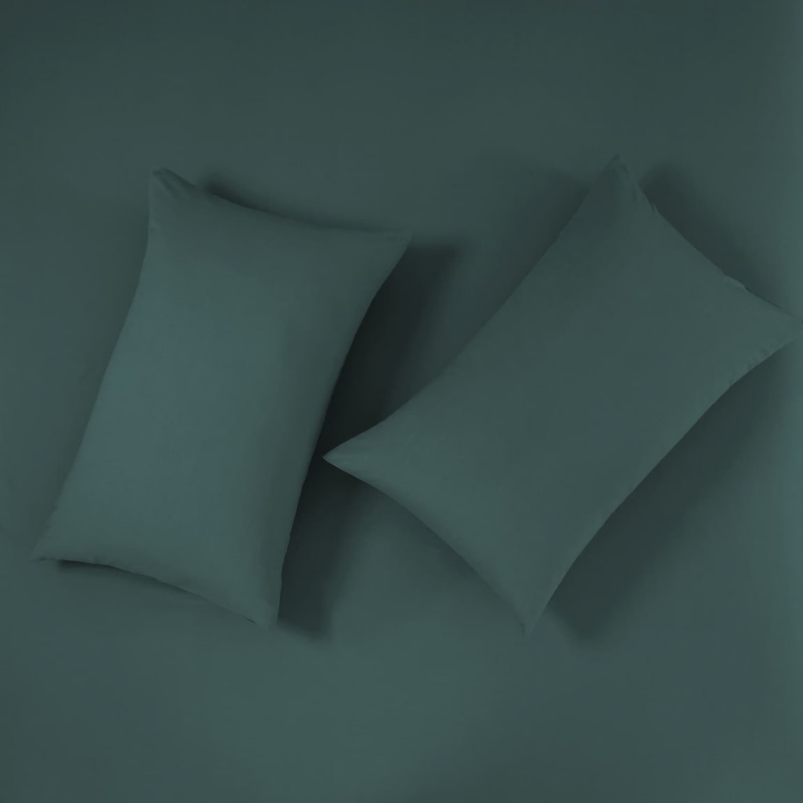 406794-406860-406861-406862-silent-night-green-pillowcases-2pk-single-double-king-fitted-sheet