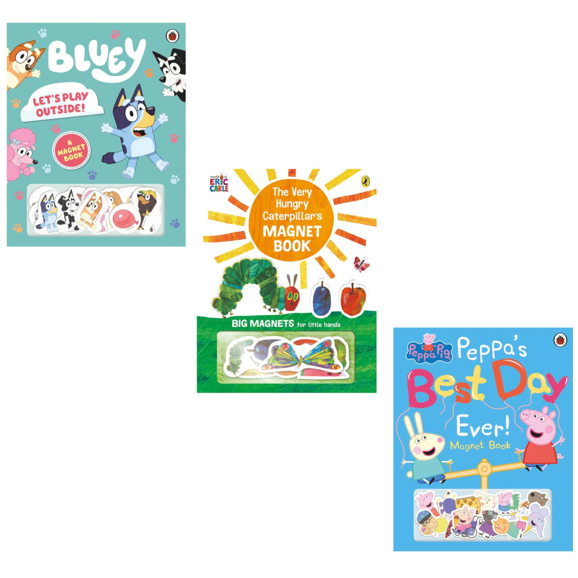 406852-magnet-book-group