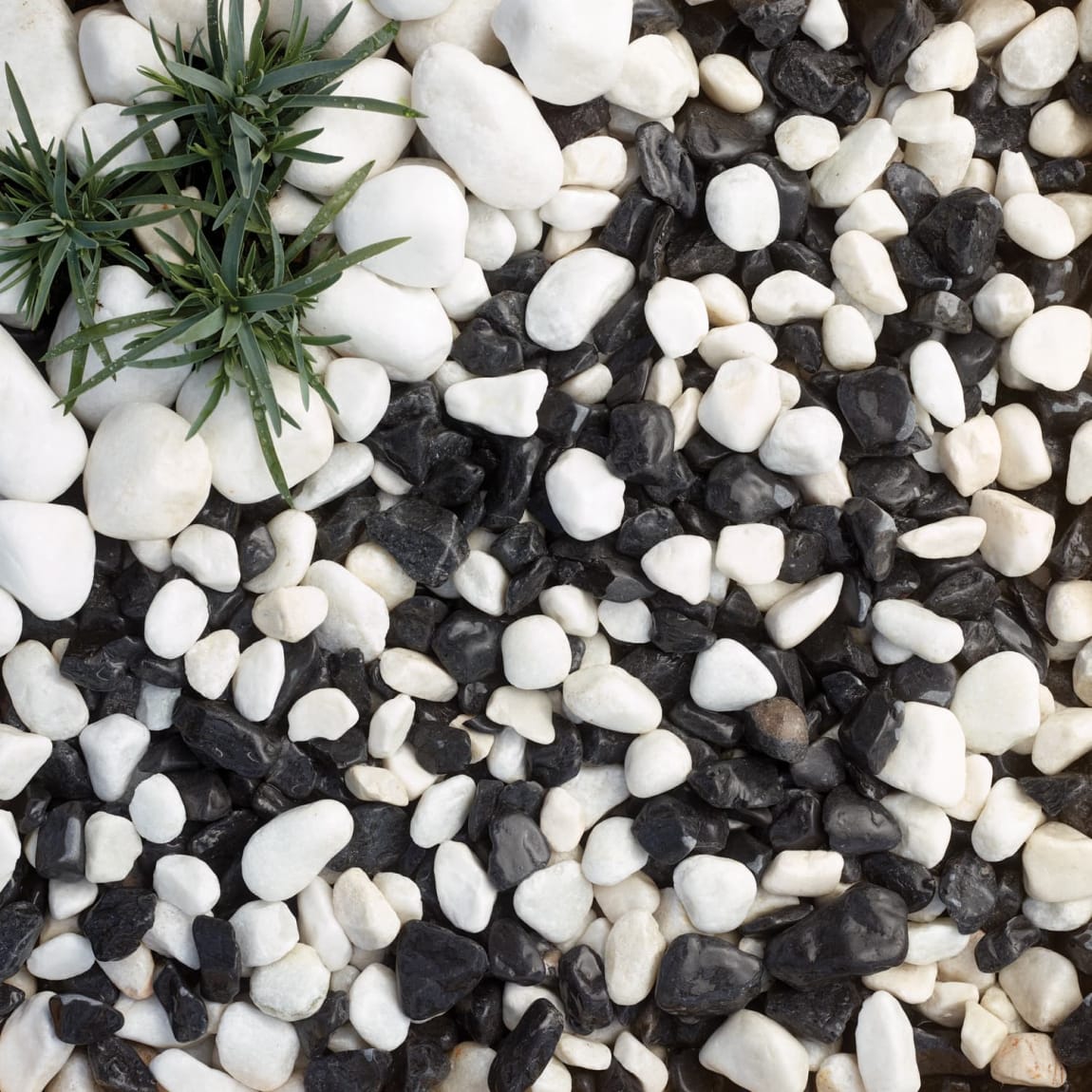 407004-pebblesmiths-moonlight-pebbles-wet