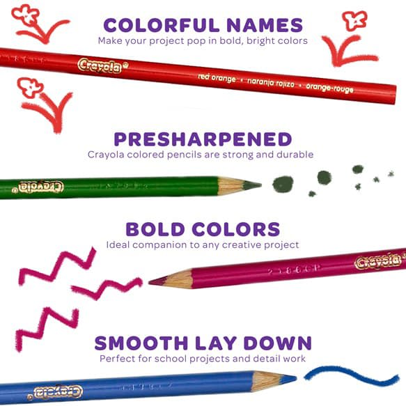 408225-crayola-coloured-pencils-12pk-5