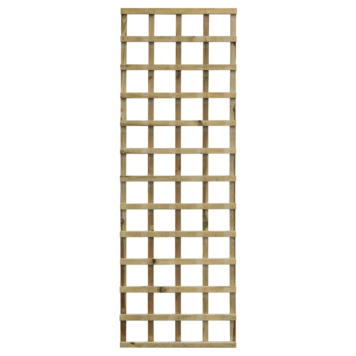 410114-heavy-duty-trellis-0_61m-x1_8m