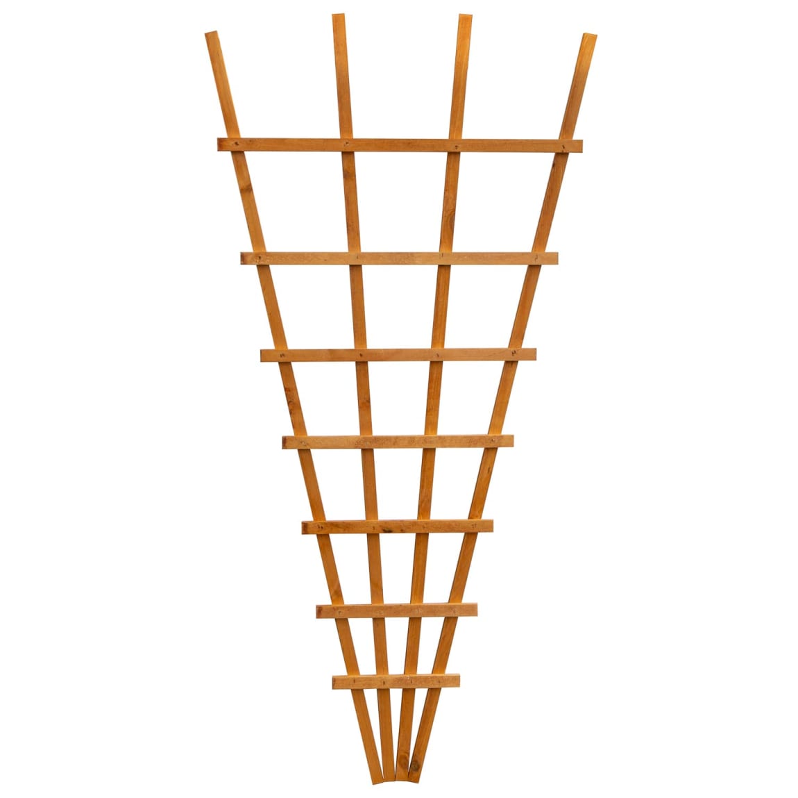 410118-fan-trellis-1_83m