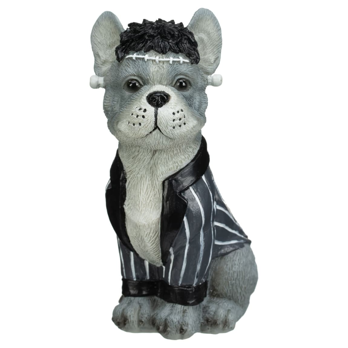 410820-fancy-dress-dog-4