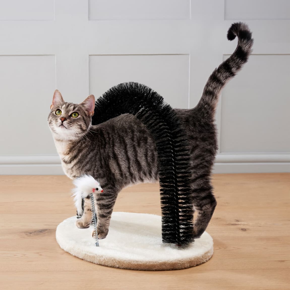 411357-kittykins-arch-groomer-and-cat-toy-2