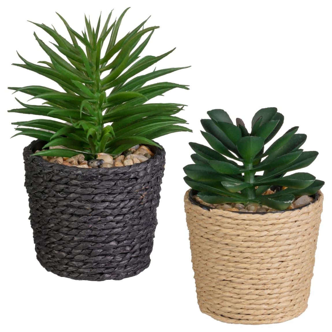 411898-mini-rattan-succulent-black