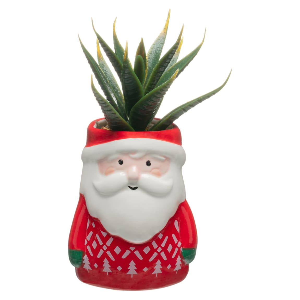 413340-christmas-succulents-santa-2