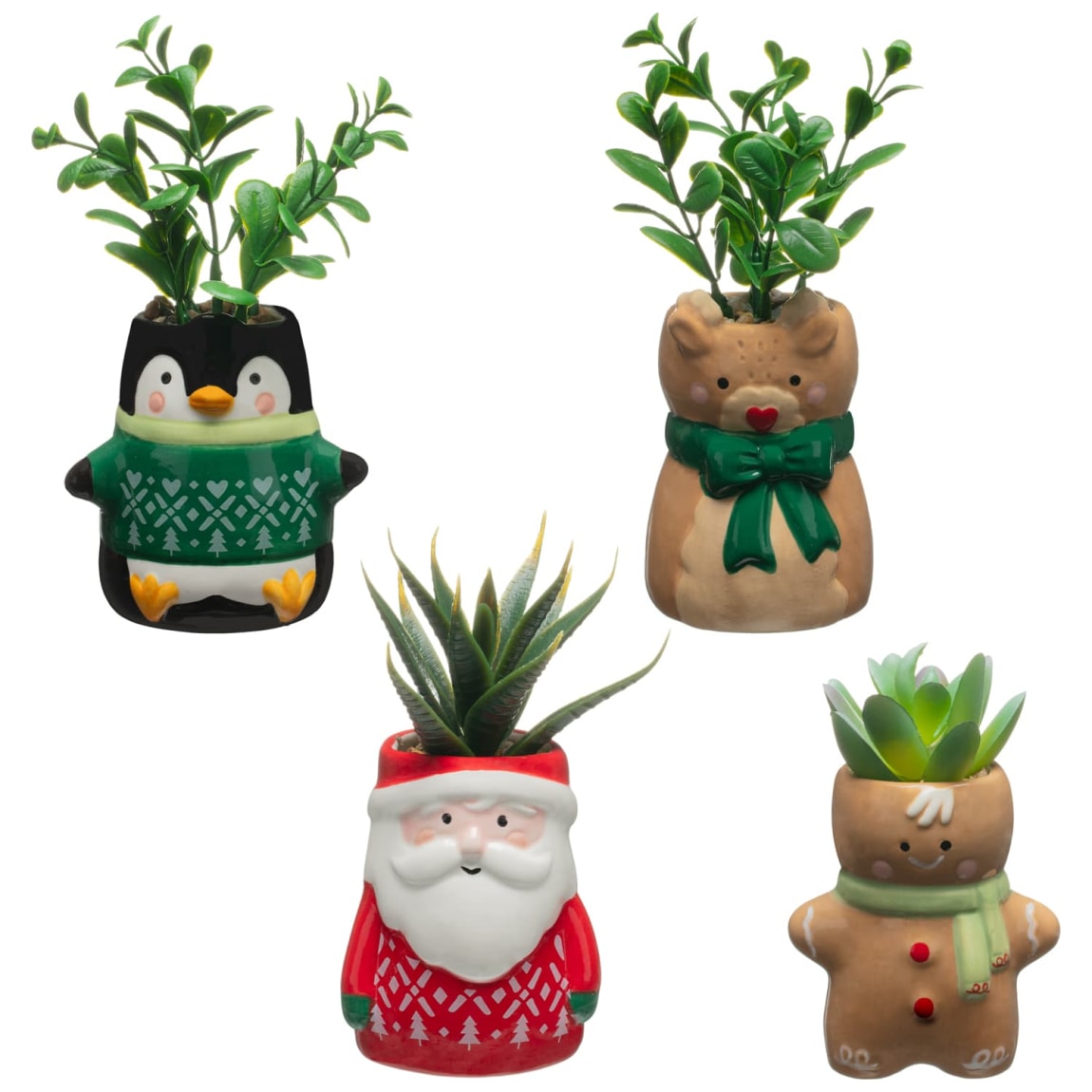 413340-christmas-succulents-santa1