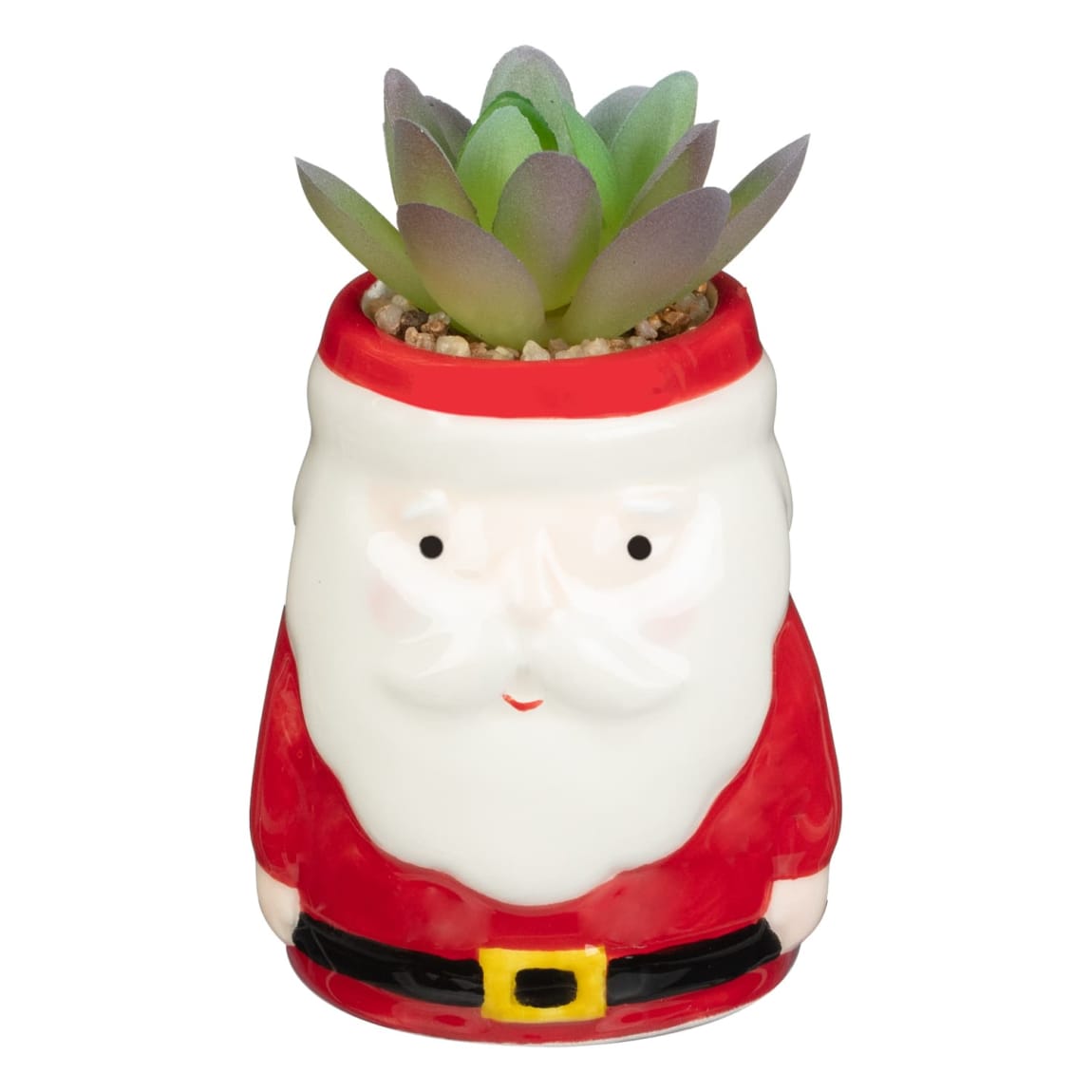 413340-christmas-succulents-santa2