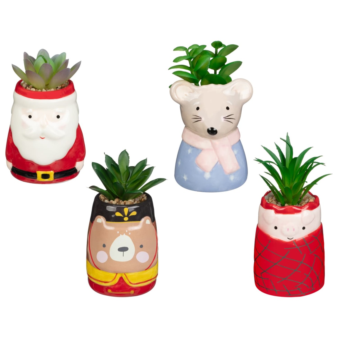 413340-christmas-succulents