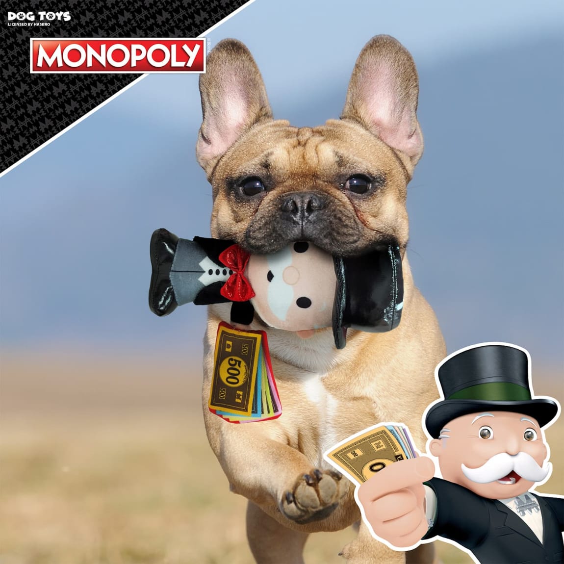 414083-money-monopoly-dog-toy