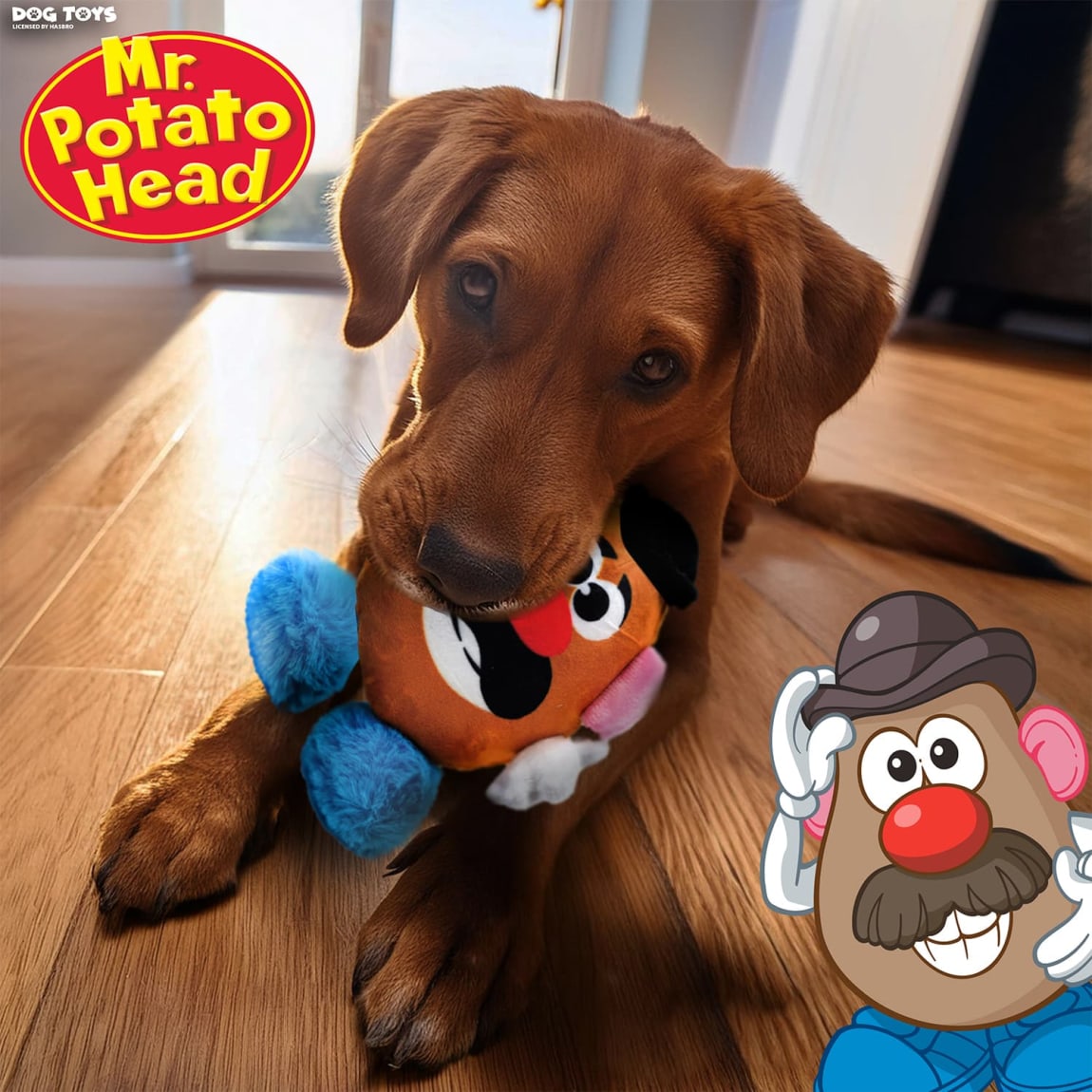 414088-mr-potato-head-dog-toys