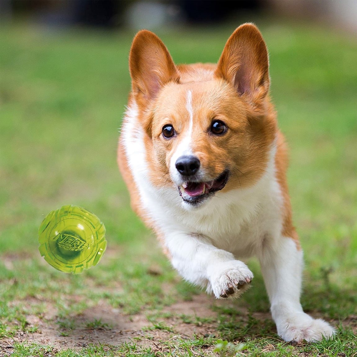 414093-2pack-flashing-balls