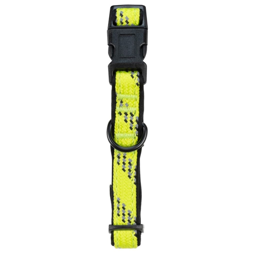 415060-reflective-neon-collar-small-2