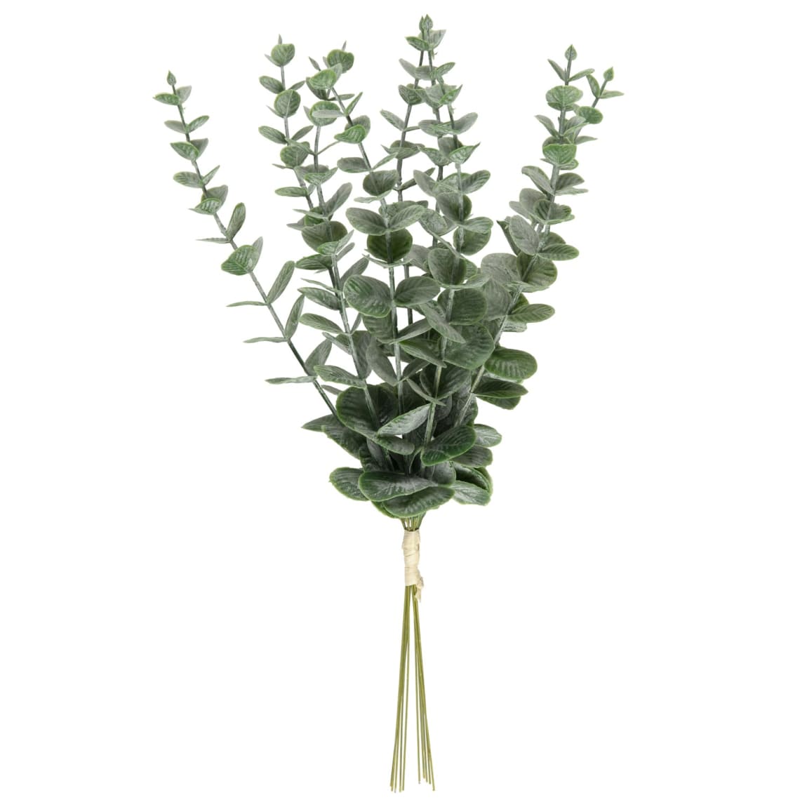 415913-eucalyptus-stem