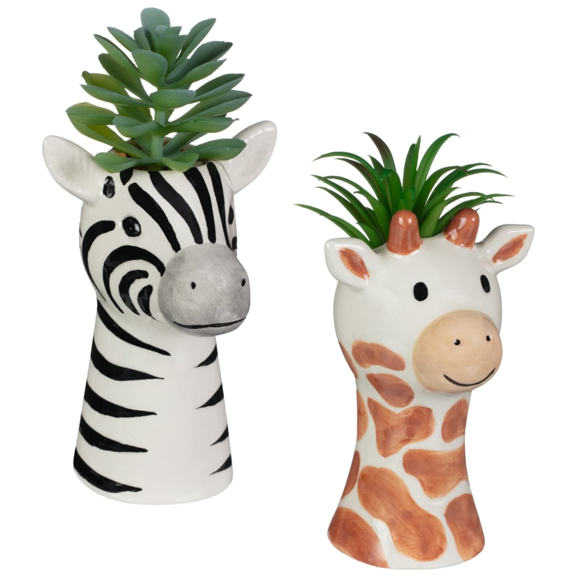 415916-succulent-giraffe