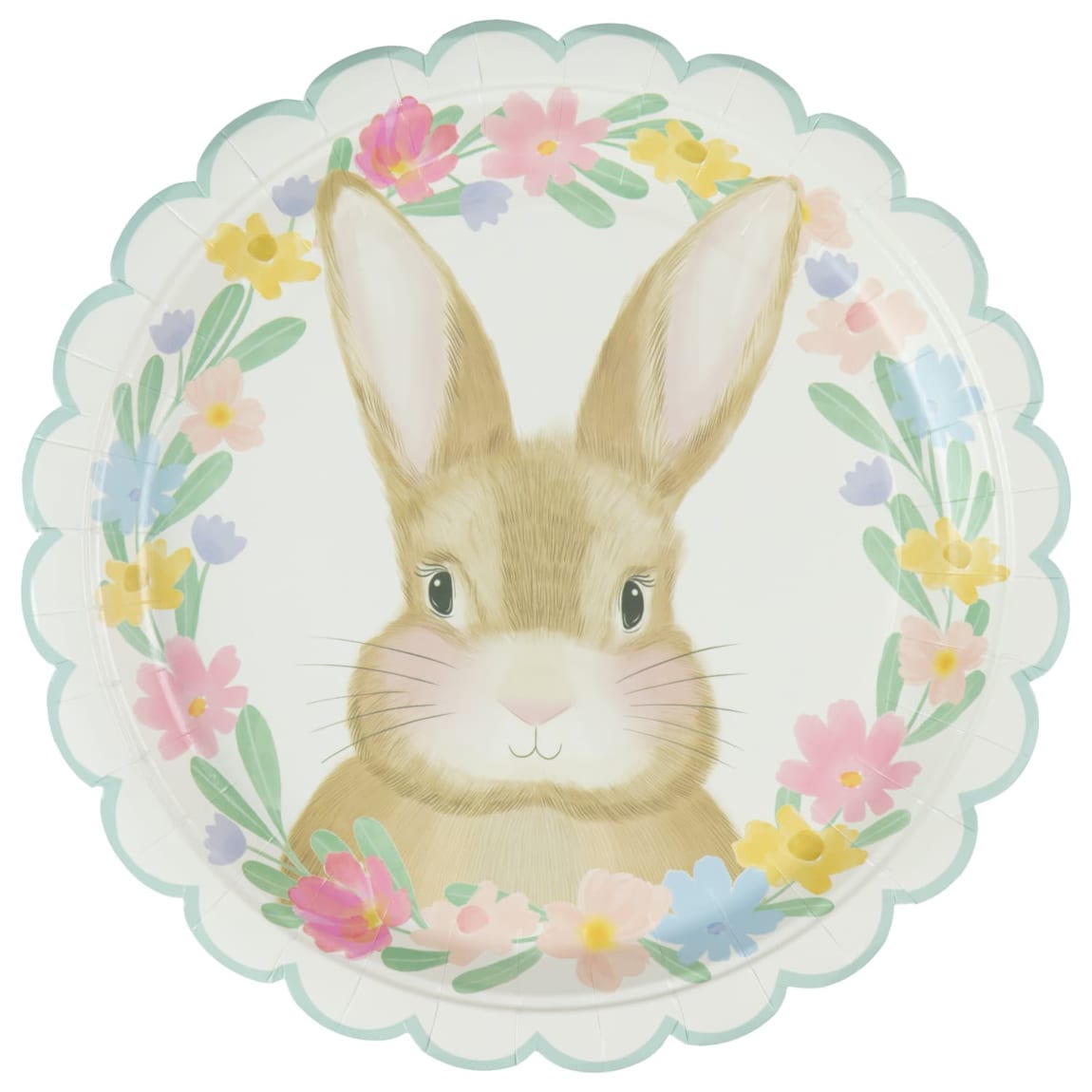 416088-20pk-round-paper-plates1