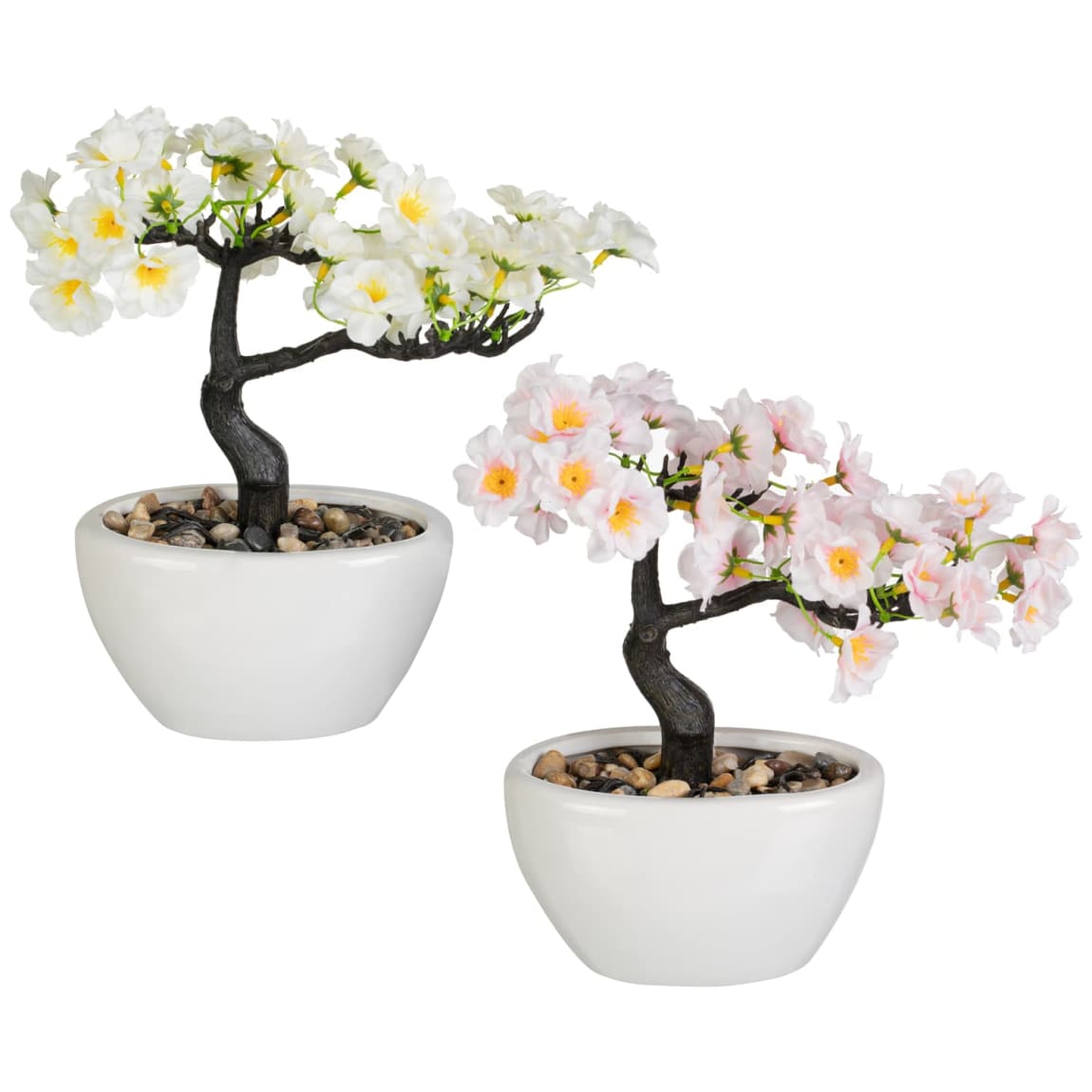 418081-blossom-bonsai-in-white-pot-group