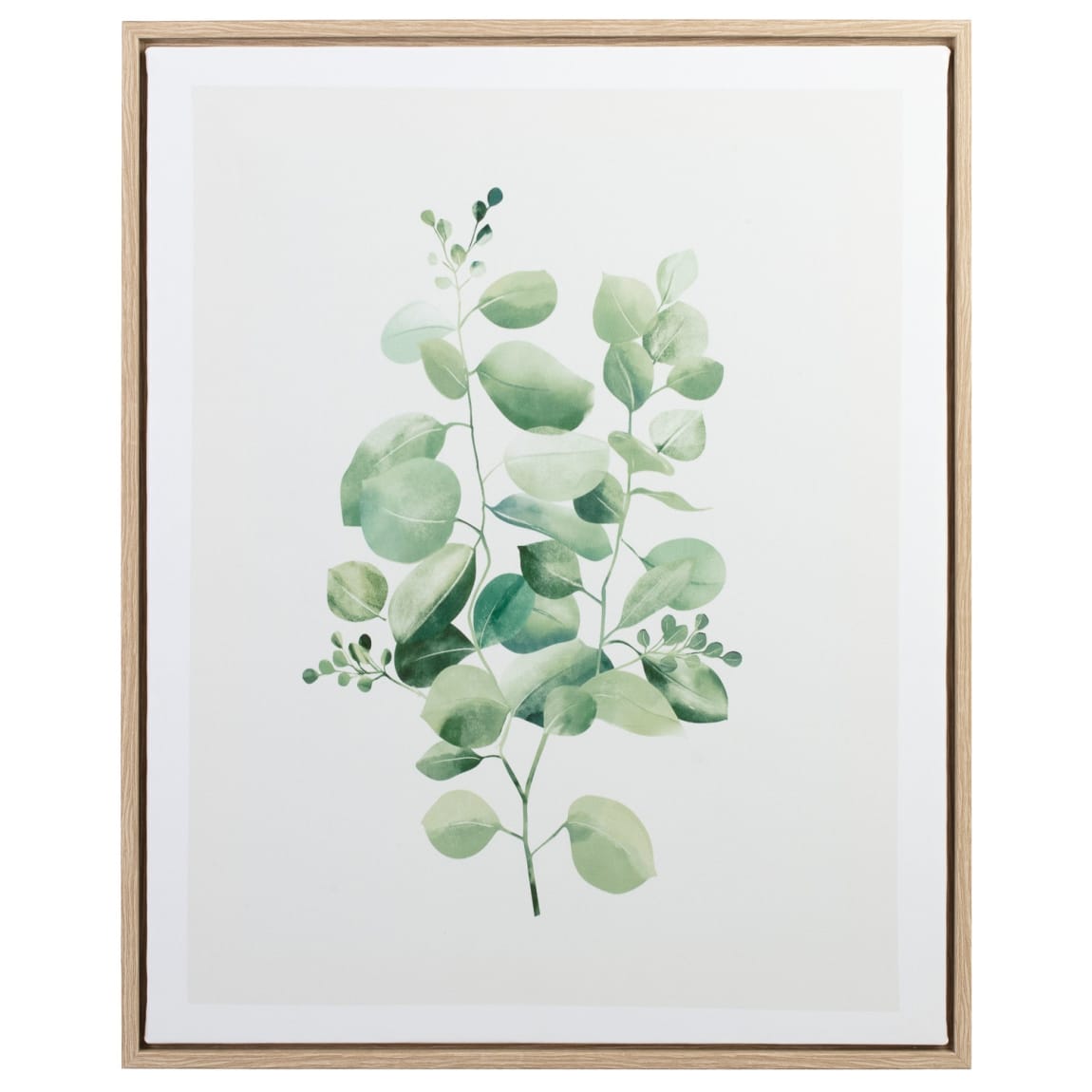418231-eucalyptus-print-canvas-2