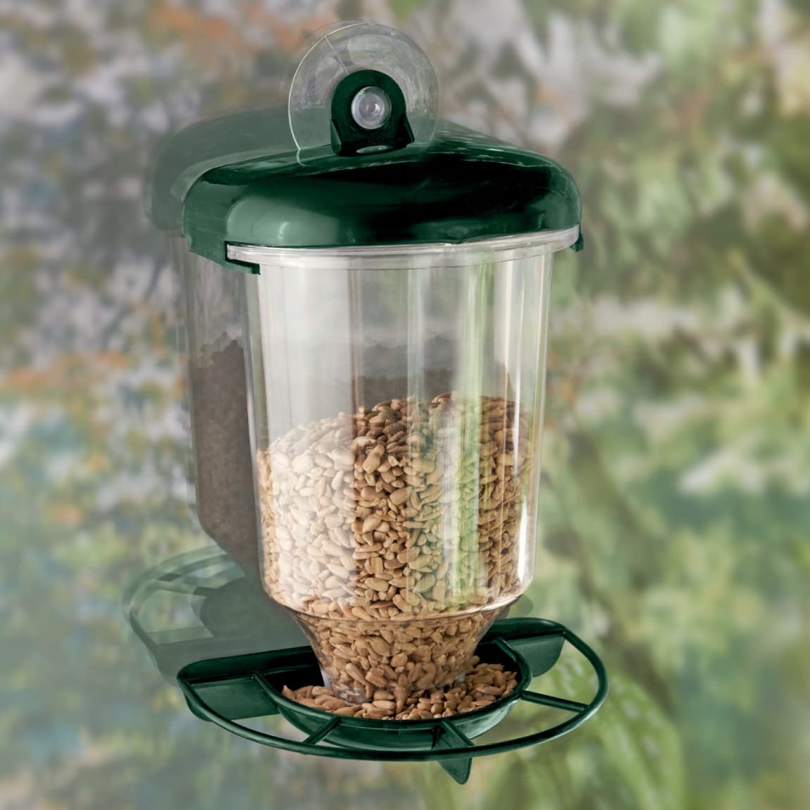 418270-window-bird-feeder2