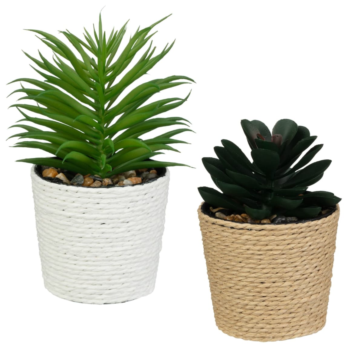 420129-mini-rattan-succulent-group